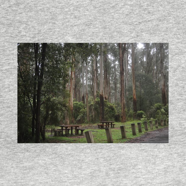 Picnic in Sherbrooke Forest by kathiemt